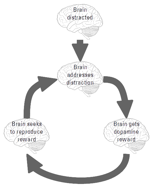 dopamine feedback loop in brain encourages multitasking