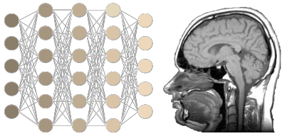 neural network and human head